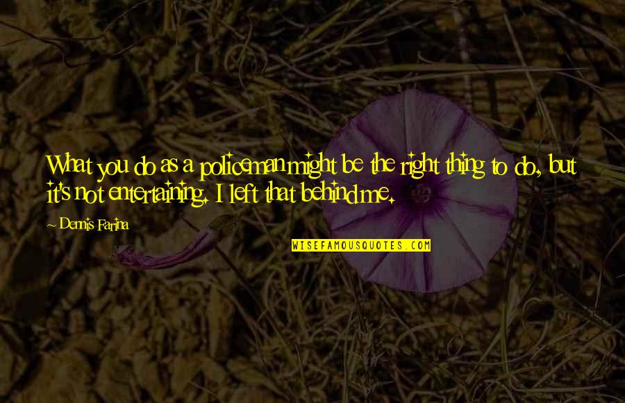 Manoocher Nikookam Quotes By Dennis Farina: What you do as a policeman might be