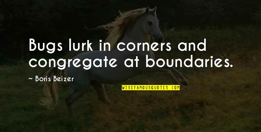 Manosa Quotes By Boris Beizer: Bugs lurk in corners and congregate at boundaries.