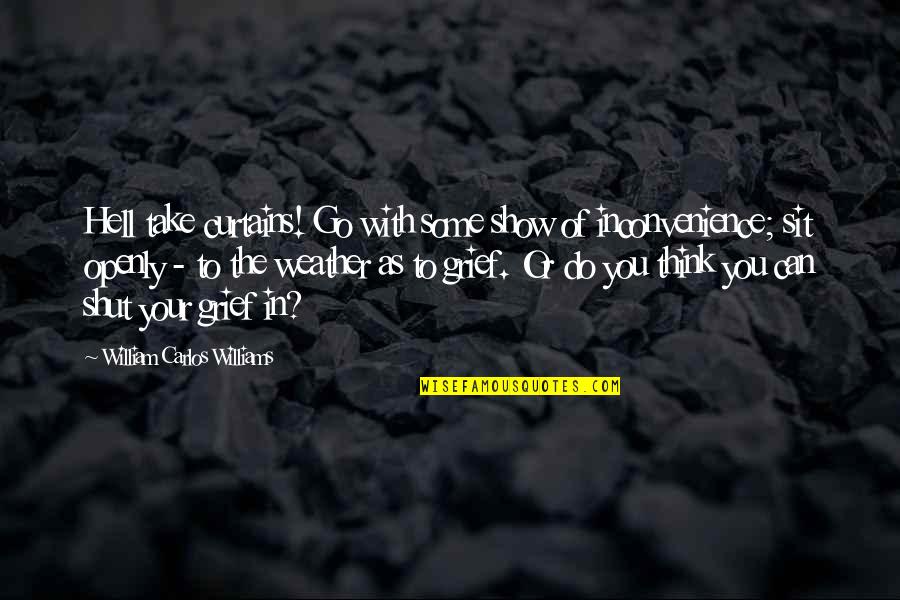 Manova Assumptions Quotes By William Carlos Williams: Hell take curtains! Go with some show of