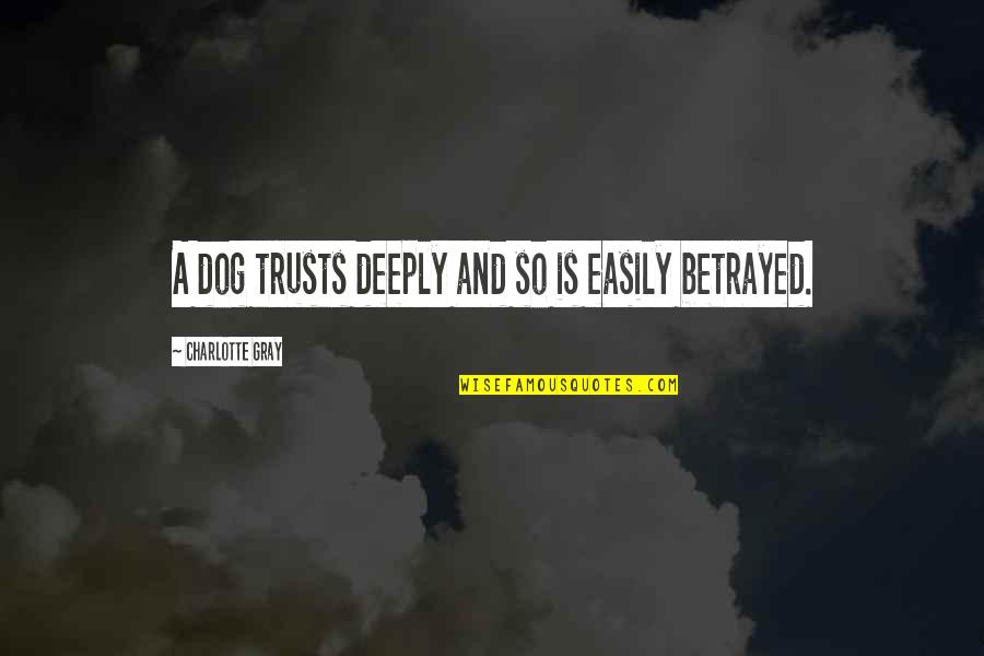 Manqoos Moulid Quotes By Charlotte Gray: A dog trusts deeply and so is easily Manqoos Moulid Quotes By Charlotte Gray: A dog trusts deeply and so is easily