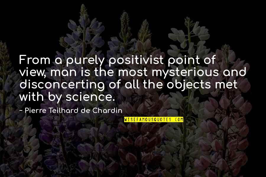 Man's Point Of View Quotes By Pierre Teilhard De Chardin: From a purely positivist point of view, man