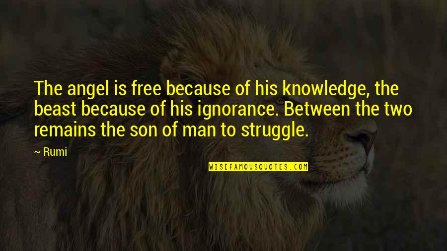 Man's Struggle Quotes By Rumi: The angel is free because of his knowledge,