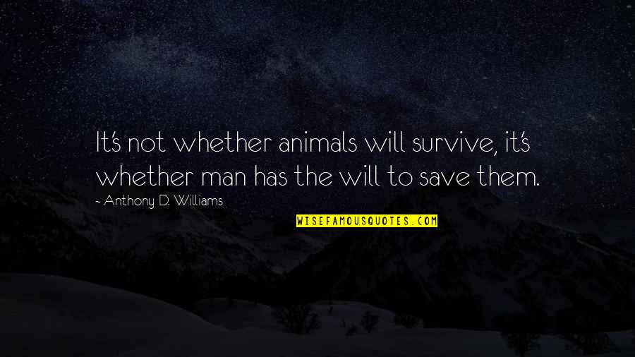 Man's Will To Survive Quotes By Anthony D. Williams: It's not whether animals will survive, it's whether Man's Will To Survive Quotes By Anthony D. Williams: It's not whether animals will survive, it's whether