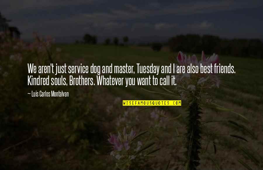 Mansions Of The Lord Quotes By Luis Carlos Montalvan: We aren't just service dog and master, Tuesday Mansions Of The Lord Quotes By Luis Carlos Montalvan: We aren't just service dog and master, Tuesday