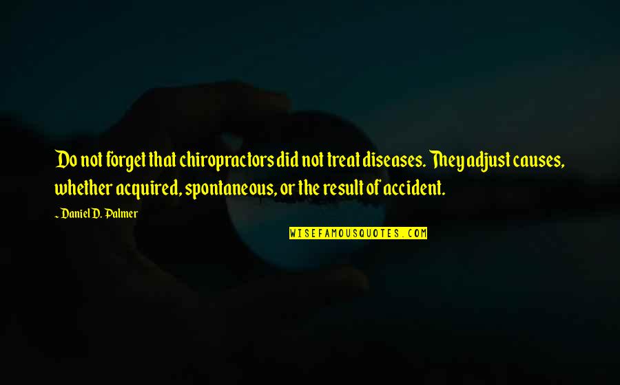 Mantain Quotes By Daniel D. Palmer: Do not forget that chiropractors did not treat