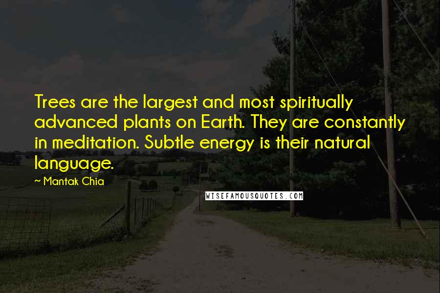 Mantak Chia quotes: Trees are the largest and most spiritually advanced plants on Earth. They are constantly in meditation. Subtle energy is their natural language.