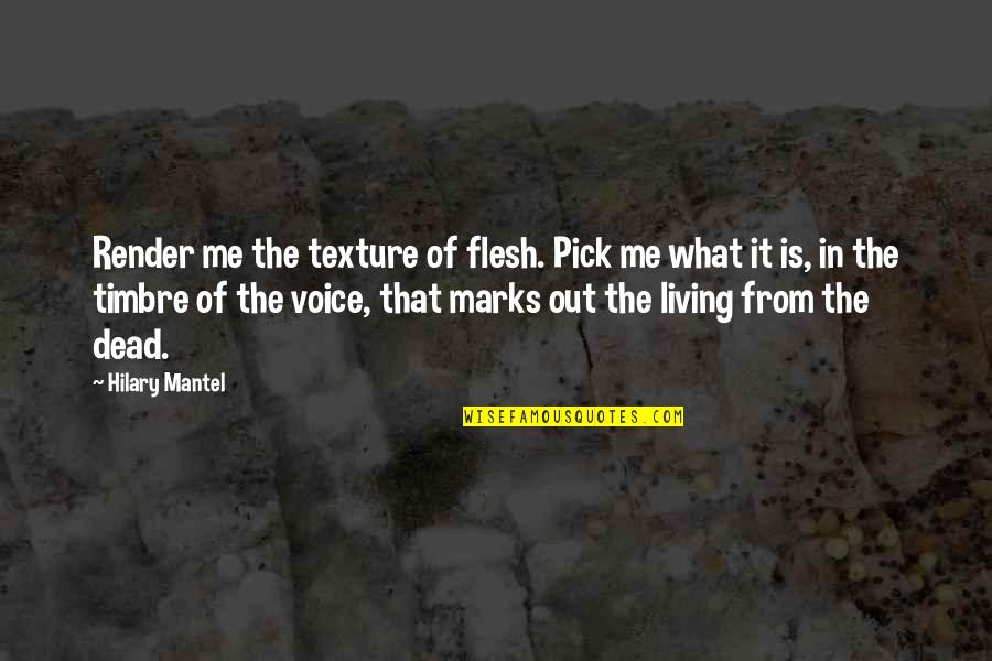 Mantel Quotes By Hilary Mantel: Render me the texture of flesh. Pick me
