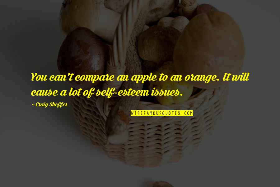 Mantenere La Calma Quotes By Craig Sheffer: You can't compare an apple to an orange.