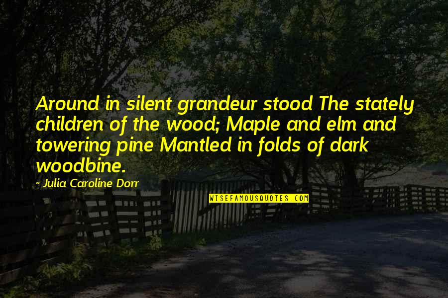 Mantled Quotes By Julia Caroline Dorr: Around in silent grandeur stood The stately children