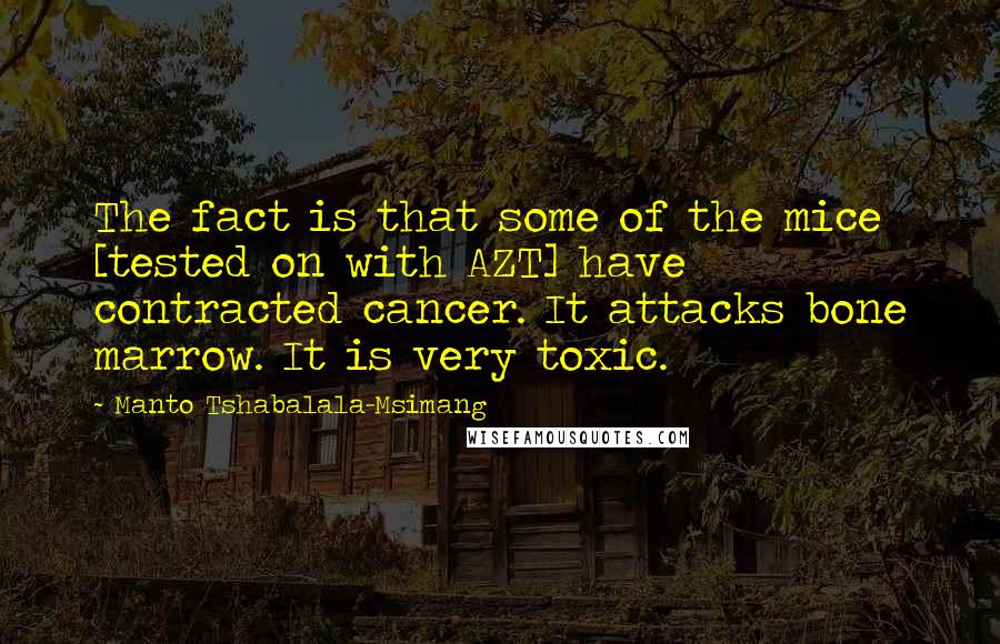 Manto Tshabalala-Msimang quotes: The fact is that some of the mice [tested on with AZT] have contracted cancer. It attacks bone marrow. It is very toxic.