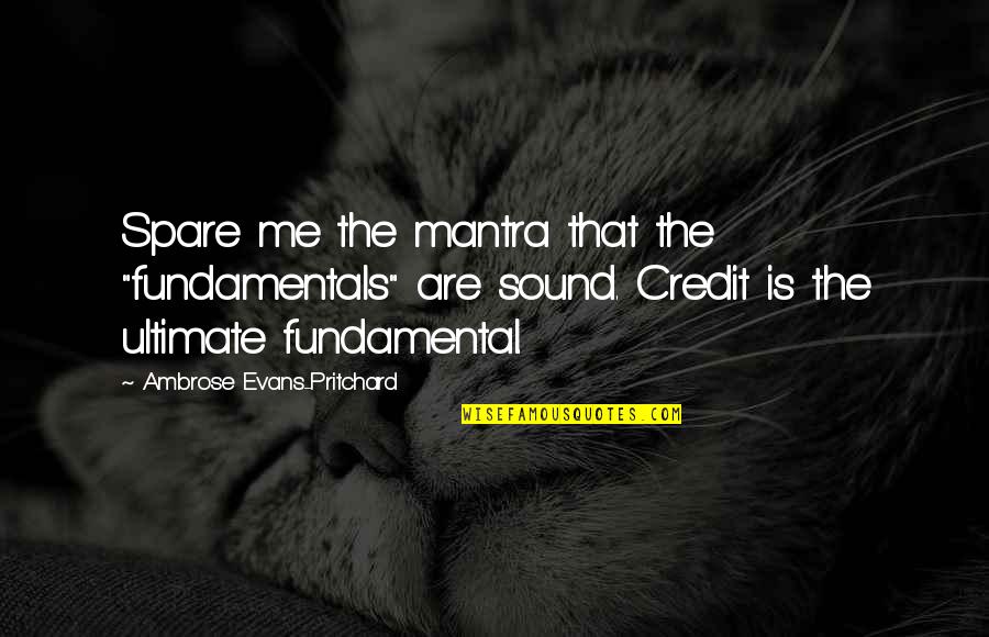 Mantra Quotes By Ambrose Evans-Pritchard: Spare me the mantra that the "fundamentals" are