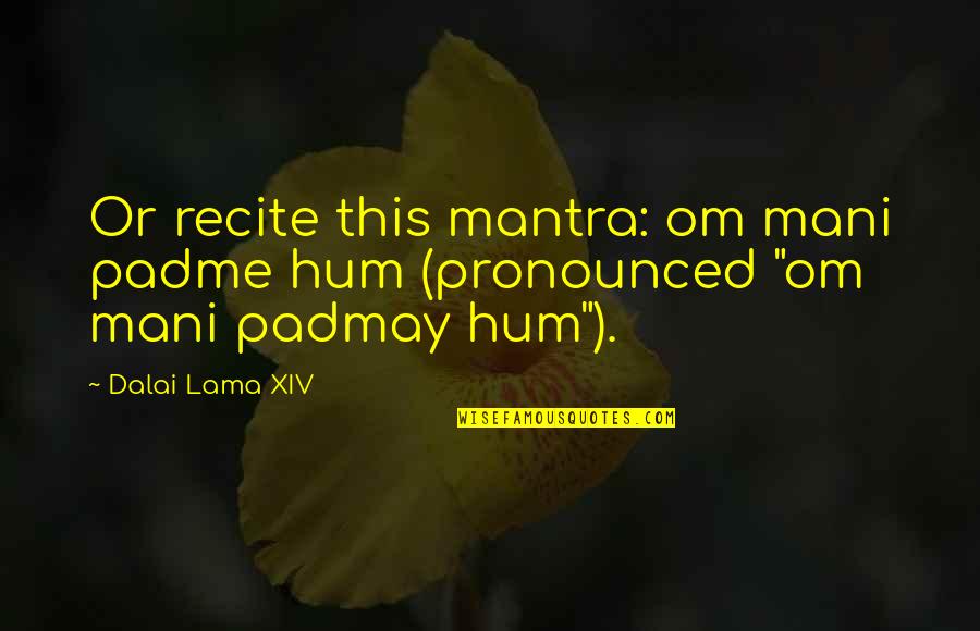 Mantra Quotes By Dalai Lama XIV: Or recite this mantra: om mani padme hum