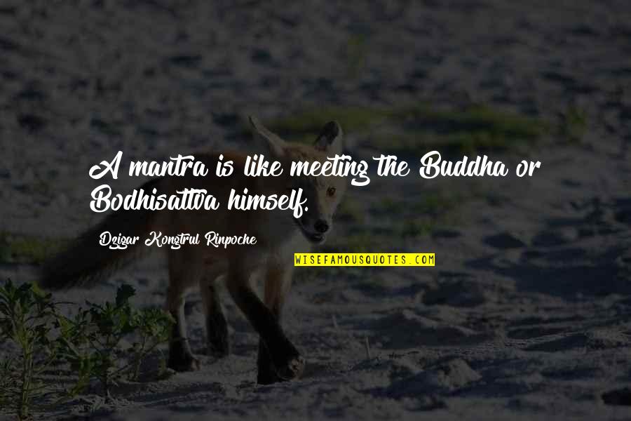 Mantra Quotes By Dzigar Kongtrul Rinpoche: A mantra is like meeting the Buddha or