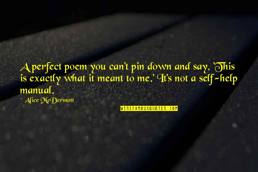 Manual Quotes By Alice McDermott: A perfect poem you can't pin down and