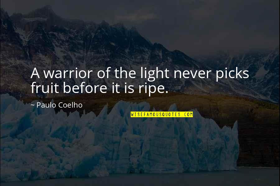 Manuchar Nv Quotes By Paulo Coelho: A warrior of the light never picks fruit