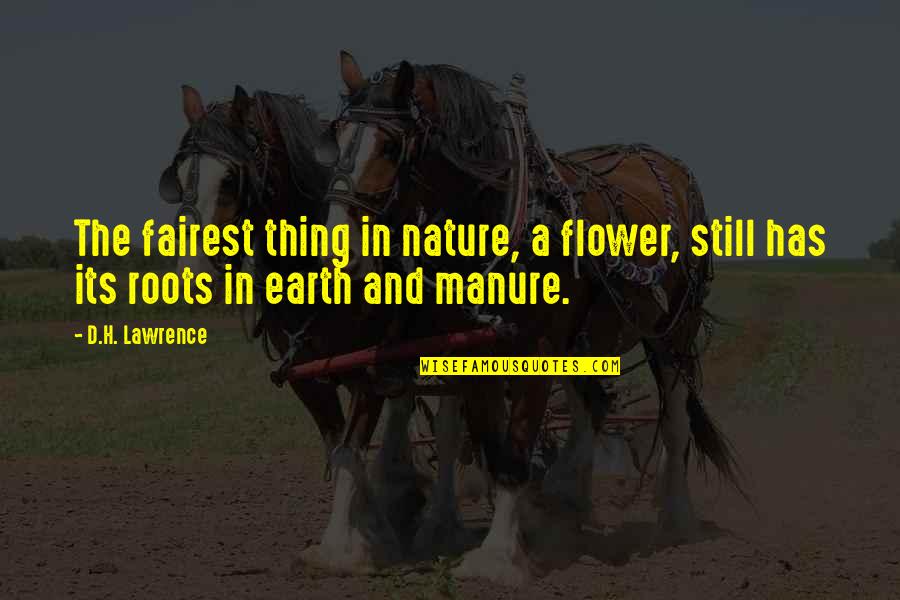Manure Quotes By D.H. Lawrence: The fairest thing in nature, a flower, still