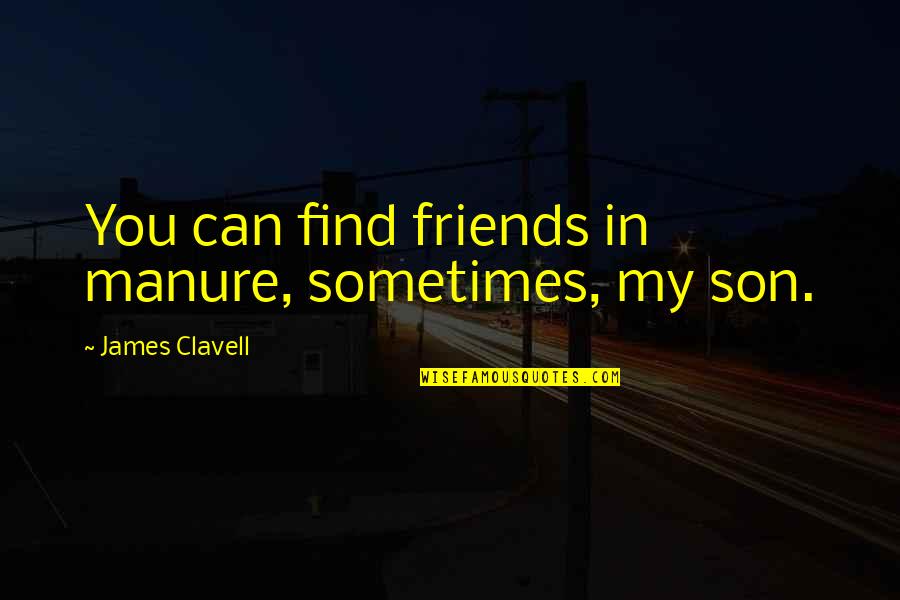 Manure Quotes By James Clavell: You can find friends in manure, sometimes, my