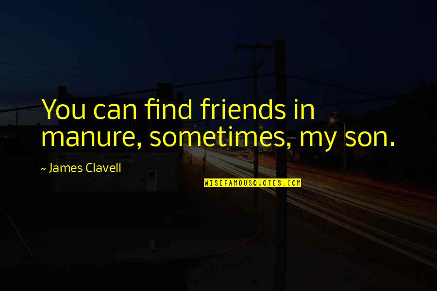 Manure Quotes By James Clavell: You can find friends in manure, sometimes, my Manure Quotes By James Clavell: You can find friends in manure, sometimes, my