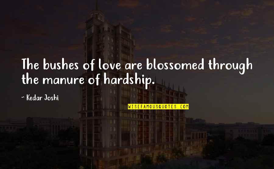 Manure Quotes By Kedar Joshi: The bushes of love are blossomed through the