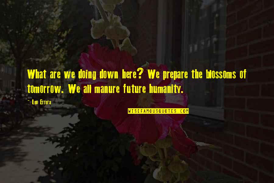 Manure Quotes By Leo Errera: What are we doing down here? We prepare