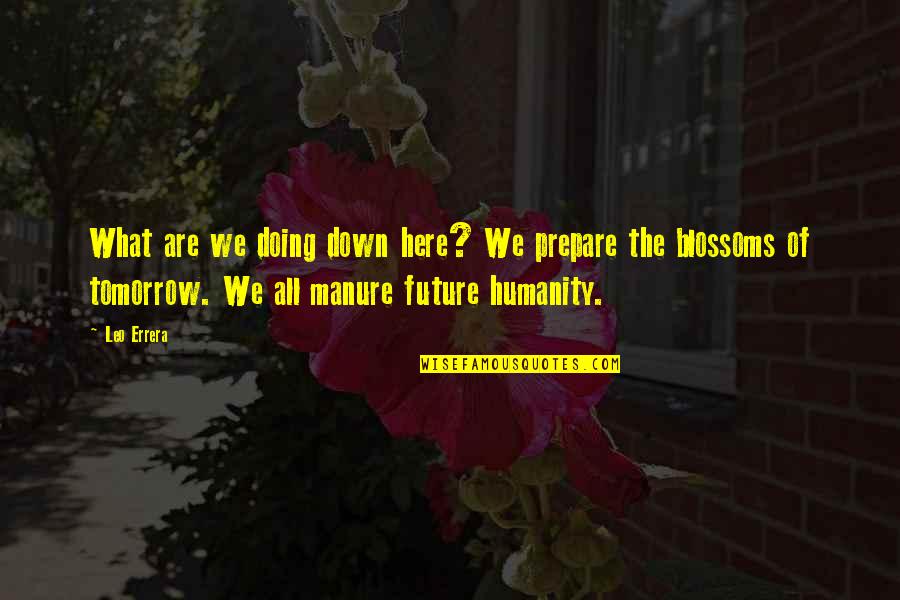 Manure Quotes By Leo Errera: What are we doing down here? We prepare Manure Quotes By Leo Errera: What are we doing down here? We prepare