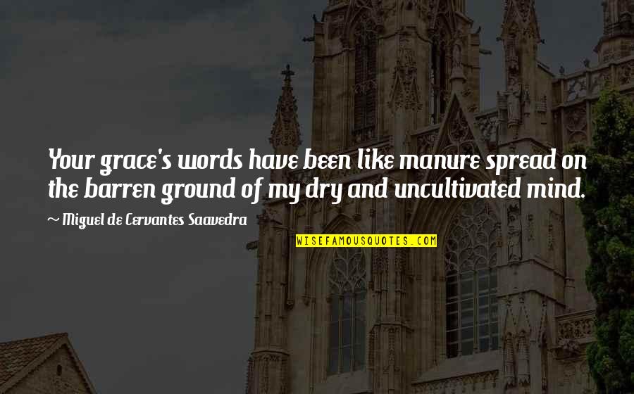Manure Quotes By Miguel De Cervantes Saavedra: Your grace's words have been like manure spread Manure Quotes By Miguel De Cervantes Saavedra: Your grace's words have been like manure spread