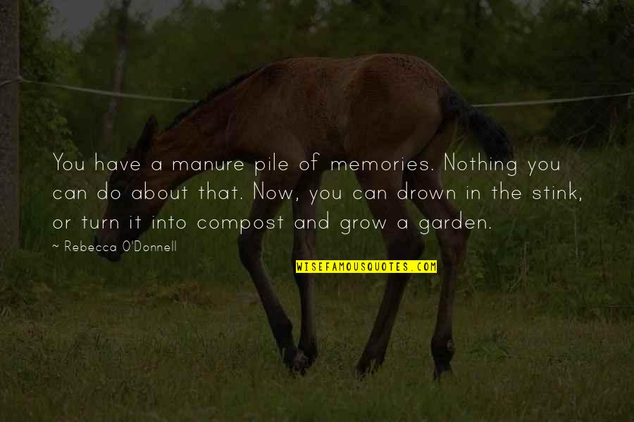 Manure Quotes By Rebecca O'Donnell: You have a manure pile of memories. Nothing