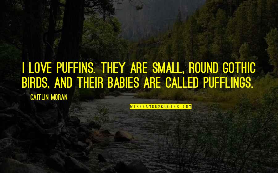 Manuscriptions Quotes By Caitlin Moran: I love puffins. They are small, round gothic