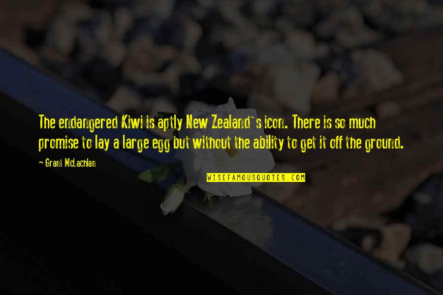 Manuscritos Antiguos Quotes By Grant McLachlan: The endangered Kiwi is aptly New Zealand's icon. Manuscritos Antiguos Quotes By Grant McLachlan: The endangered Kiwi is aptly New Zealand's icon.