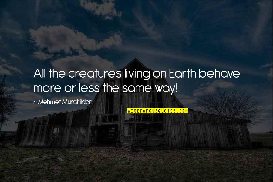 Manwarren Backyard Quotes By Mehmet Murat Ildan: All the creatures living on Earth behave more Manwarren Backyard Quotes By Mehmet Murat Ildan: All the creatures living on Earth behave more