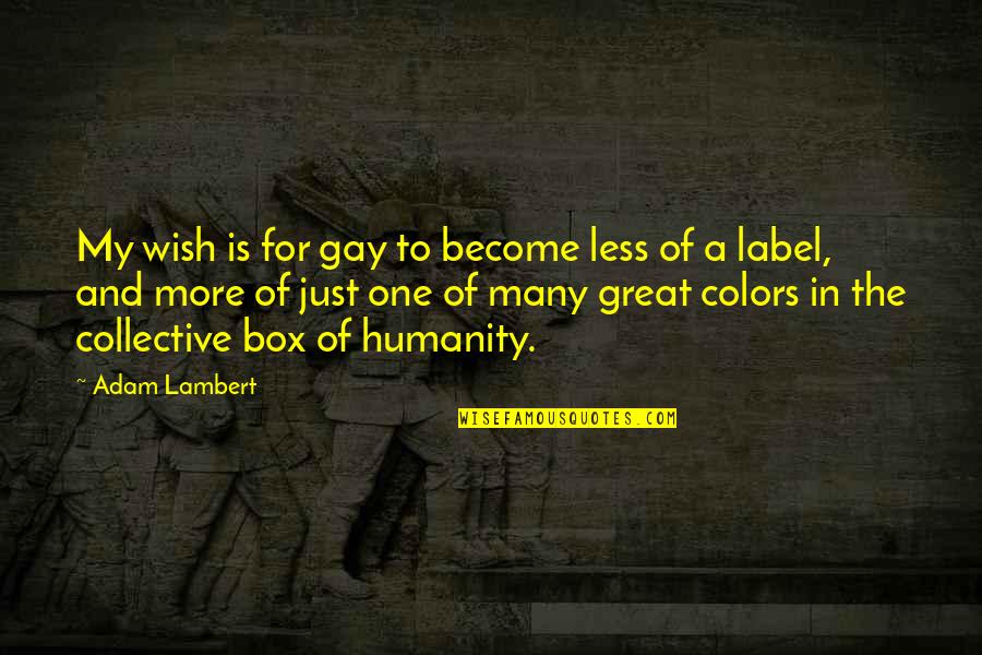 Many Colors Quotes By Adam Lambert: My wish is for gay to become less