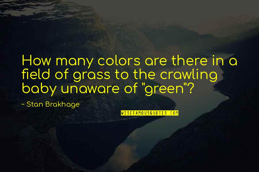 Many Colors Quotes By Stan Brakhage: How many colors are there in a field