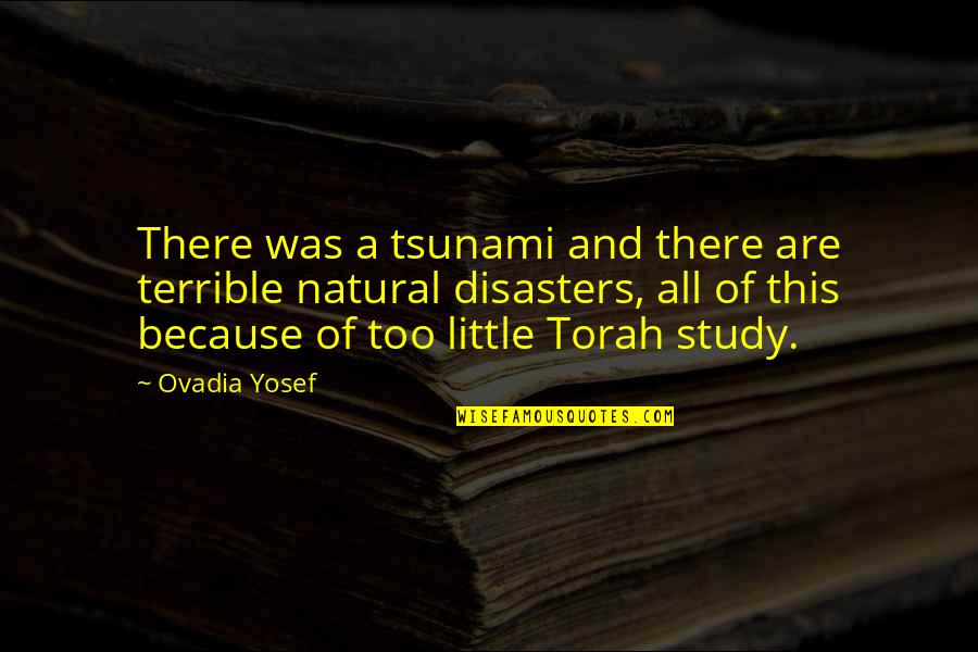 Many Disasters Quotes By Ovadia Yosef: There was a tsunami and there are terrible