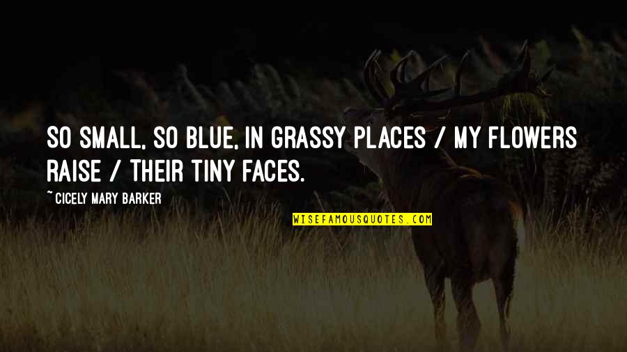 Many Faces To Many Places Quotes By Cicely Mary Barker: So small, so blue, in grassy places /