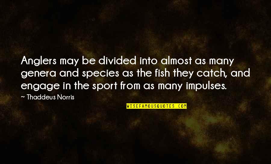 Many Fish In The Sea Quotes By Thaddeus Norris: Anglers may be divided into almost as many