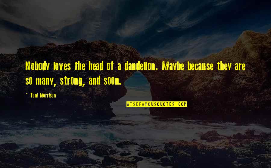 Many Loves Quotes By Toni Morrison: Nobody loves the head of a dandelion. Maybe Many Loves Quotes By Toni Morrison: Nobody loves the head of a dandelion. Maybe