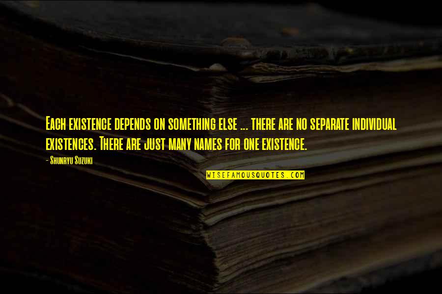 Many Names Quotes By Shunryu Suzuki: Each existence depends on something else ... there Many Names Quotes By Shunryu Suzuki: Each existence depends on something else ... there