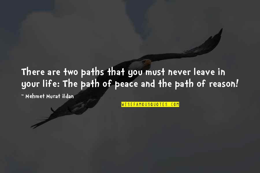 Many Paths In Life Quotes By Mehmet Murat Ildan: There are two paths that you must never