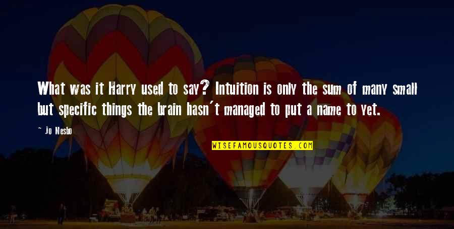 Many Things To Say Quotes By Jo Nesbo: What was it Harry used to say? Intuition