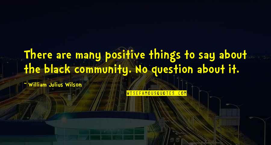 Many Things To Say Quotes By William Julius Wilson: There are many positive things to say about
