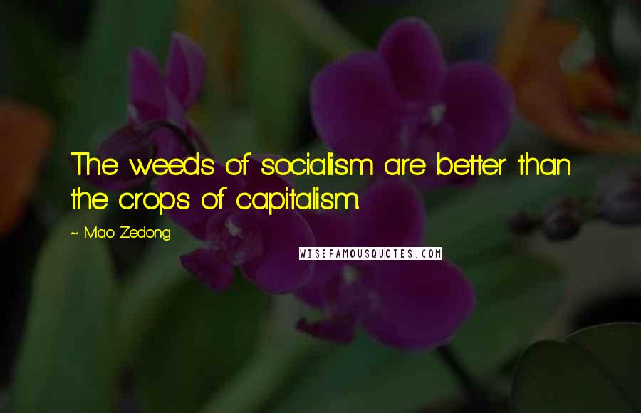 Mao Zedong quotes: The weeds of socialism are better than the crops of capitalism.