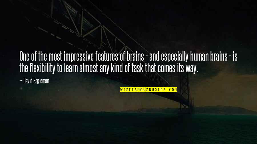 Mapagbiro Ang Tadhana Quotes By David Eagleman: One of the most impressive features of brains Mapagbiro Ang Tadhana Quotes By David Eagleman: One of the most impressive features of brains