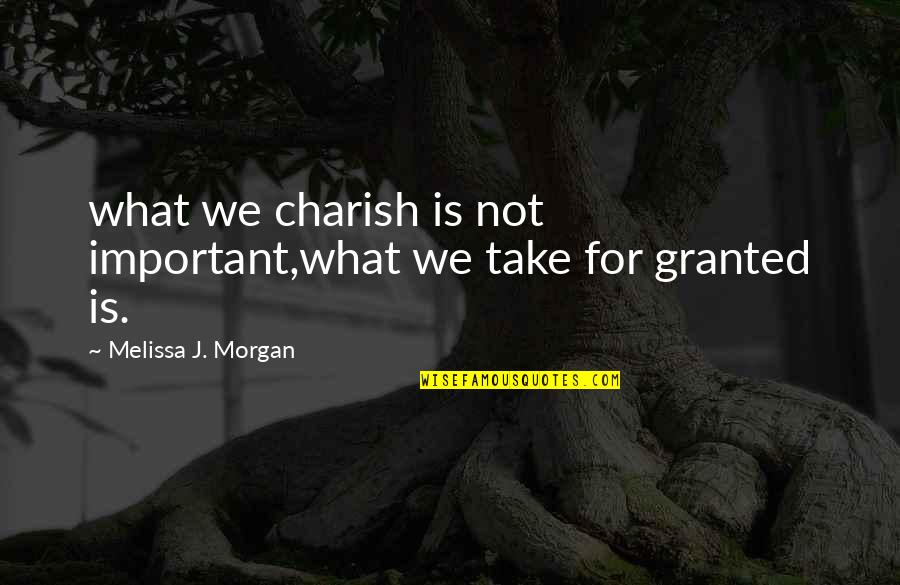 Mapatunayan Quotes By Melissa J. Morgan: what we charish is not important,what we take
