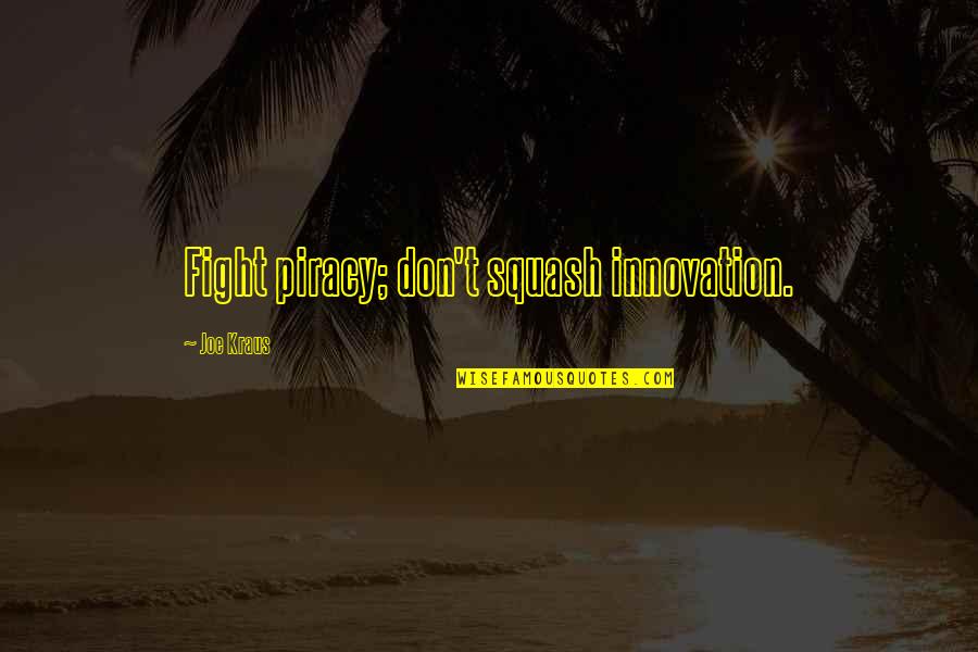 Mapple Quotes By Joe Kraus: Fight piracy; don't squash innovation.