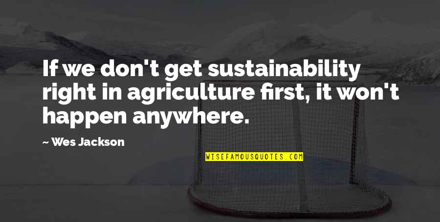 Marachel Quotes By Wes Jackson: If we don't get sustainability right in agriculture