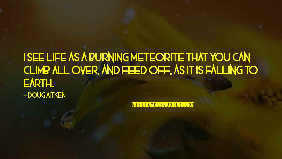 Marathon Bib Quotes By Doug Aitken: I see life as a burning meteorite that