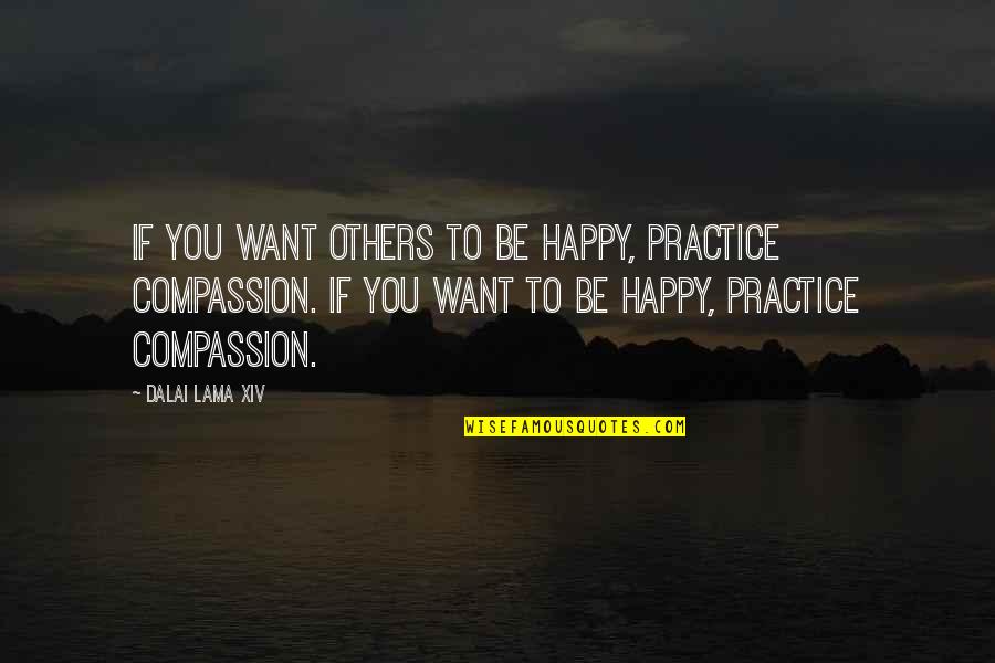 Marathon Completion Quotes By Dalai Lama XIV: If you want others to be happy, practice