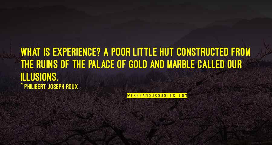 Marble Quotes By Philibert Joseph Roux: What is experience? A poor little hut constructed