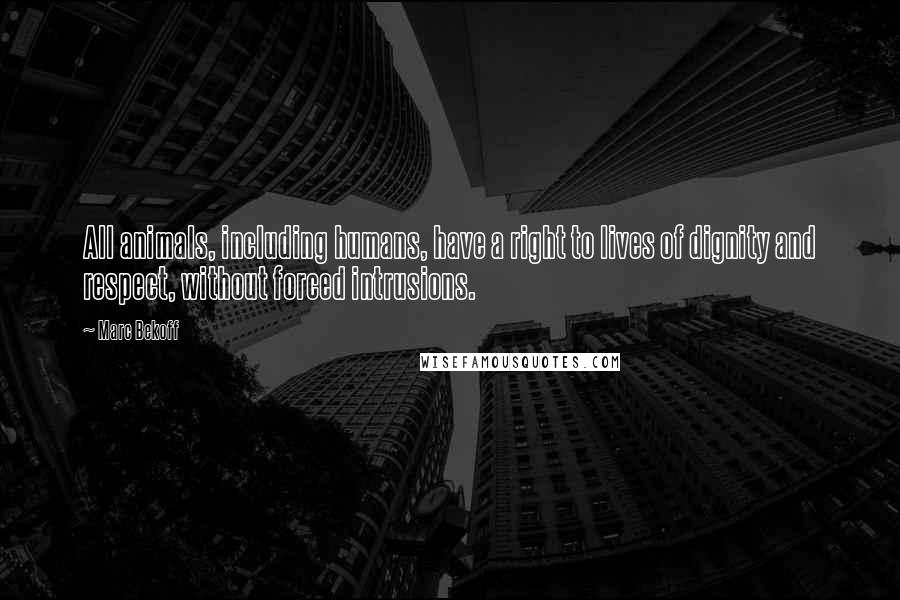 Marc Bekoff quotes: All animals, including humans, have a right to lives of dignity and respect, without forced intrusions. Marc Bekoff quotes: All animals, including humans, have a right to lives of dignity and respect, without forced intrusions.