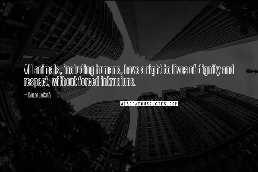 Marc Bekoff quotes: All animals, including humans, have a right to lives of dignity and respect, without forced intrusions.